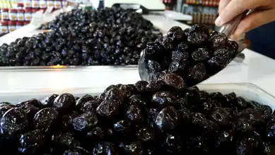 Türkiye, Sofralık Zeytinde Dünya Lideri!