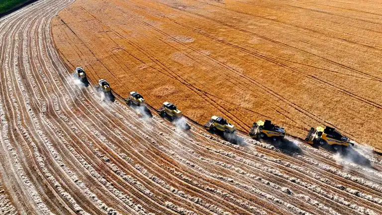 TİGEM'den Rekolte Rekoru: 303 Bin Ton Hububat